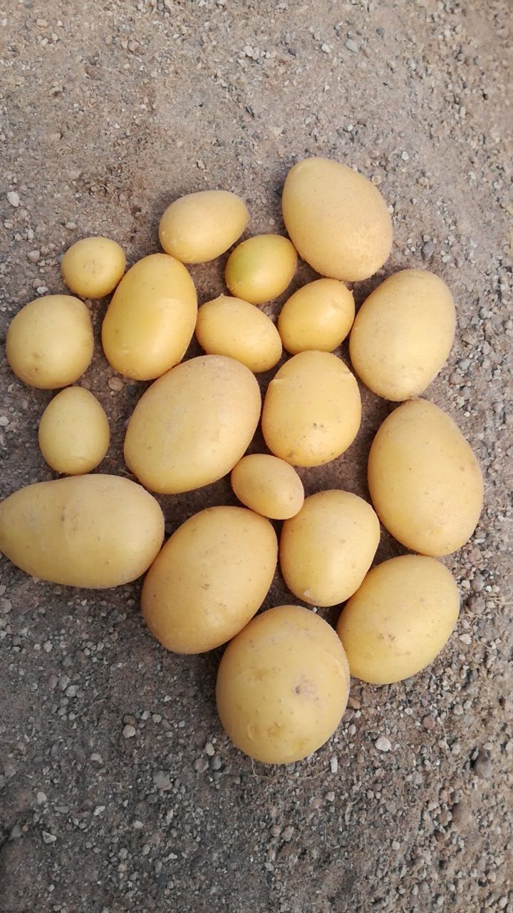 نمونه شماره2