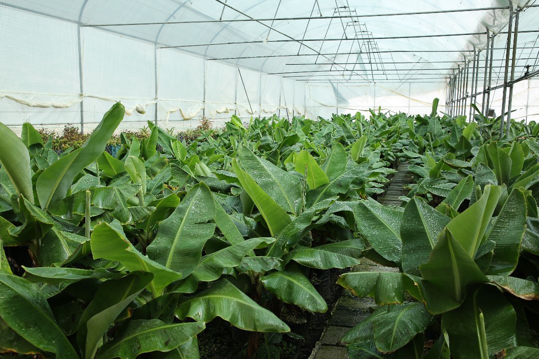 نمونه شماره1