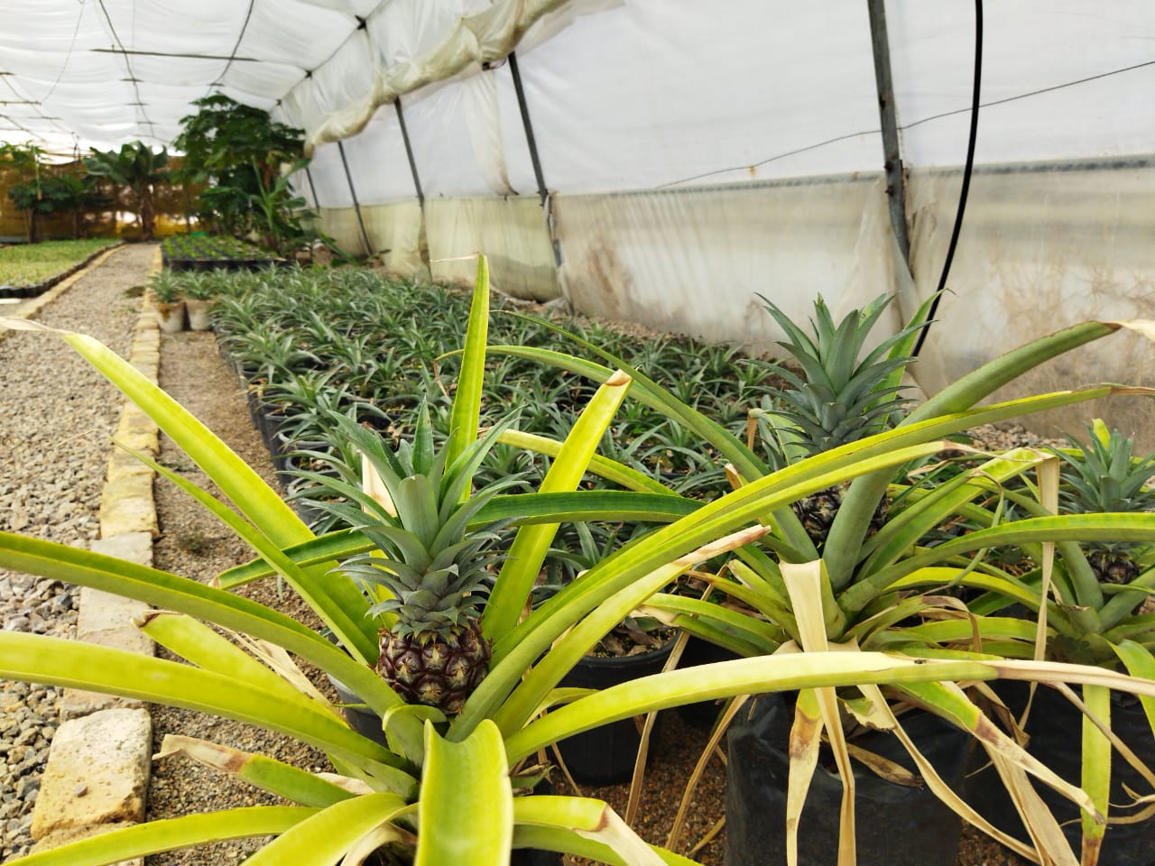 نمونه شماره3