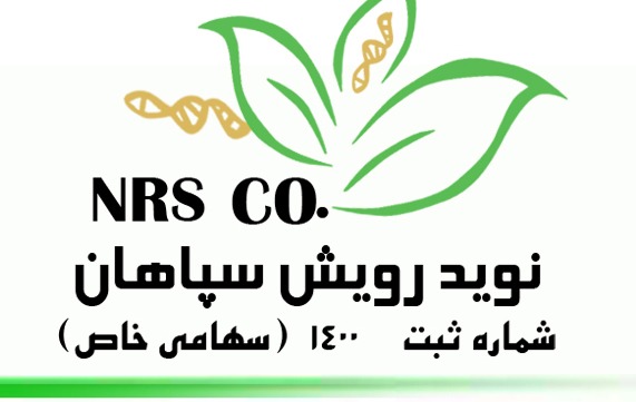 بهترین شرکت تولید کننده انواع موز و آناناس و بذر سیب زمینی در اصفهان 